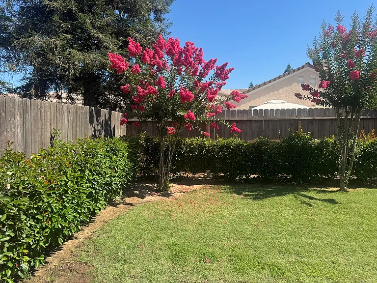 2304 E Decatur Ave — Photo 15