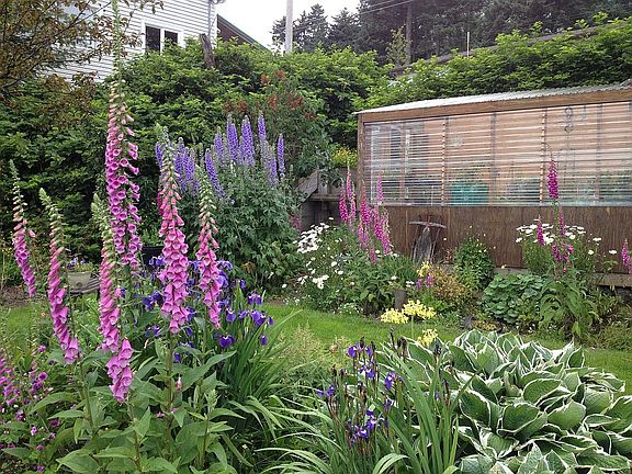 Yard & Greenhouse