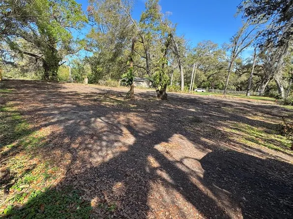 230 Skywood Dr, Valrico, FL 33594
