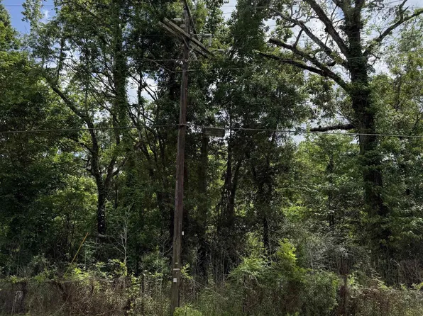 Bayou Narcisse Rd, Gonzales, LA 70737