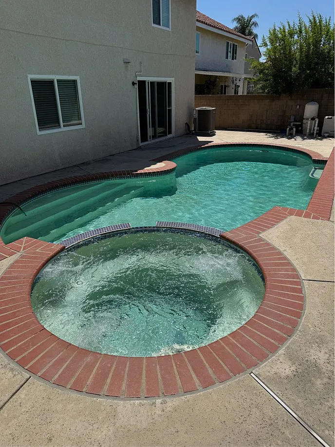 Hibiscus — Photo 2