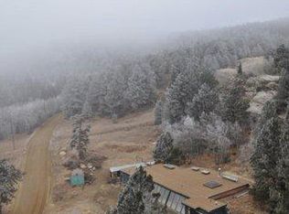 1165 Cold Springs Rd, Nederland, CO 80466