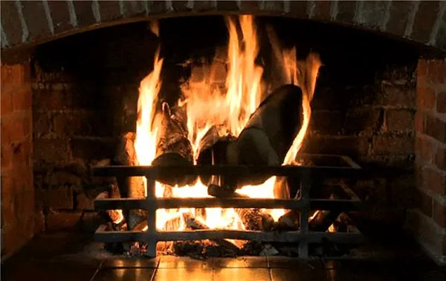 Rented by Maz Group NY | media 48