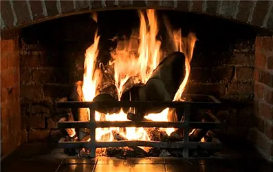 Rented by Maz Group NY