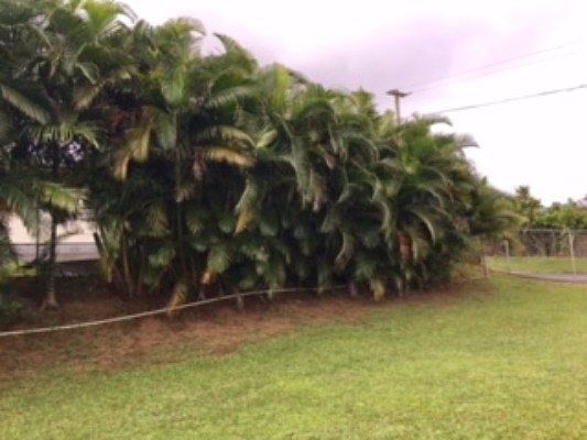 4th image of LOT 3 A