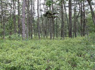 BL 4602 Old Tuckerton Rd, Chatsworth, NJ 08019