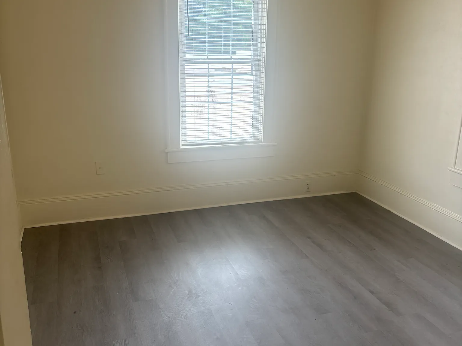 1 bed, 800 sqft, $1,100 — Photo 2