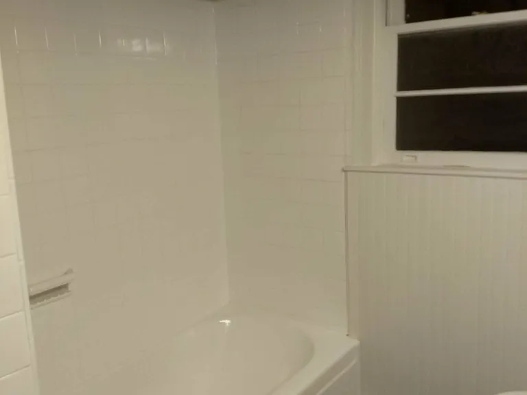 Hall bathroom