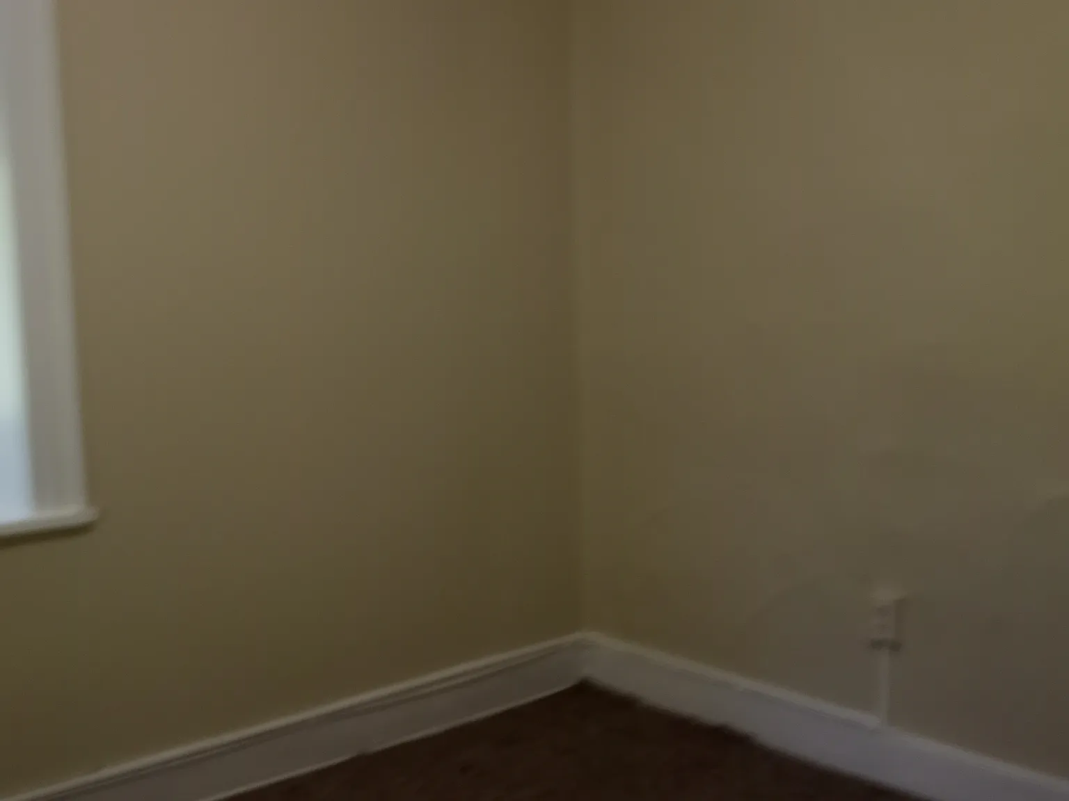 2 bed, 800 sqft, $2,000 — Photo 4