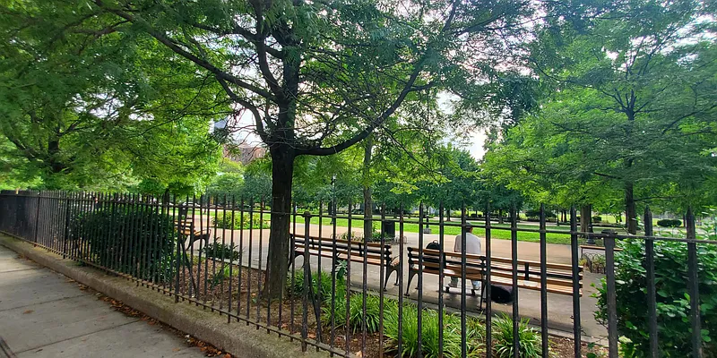 Rented by BLS Realty | media 2