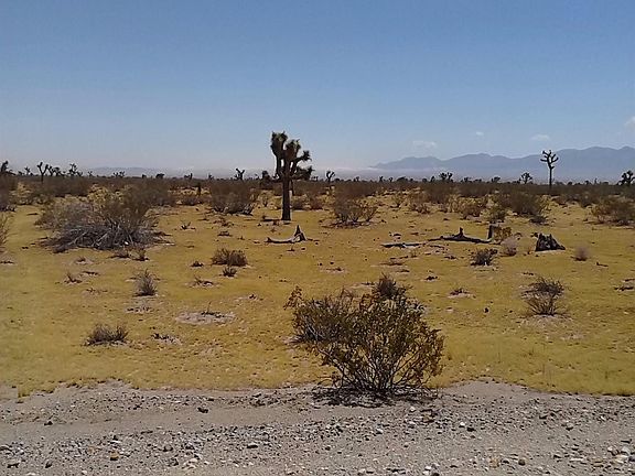4th image of Barranca Ave