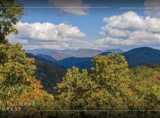 54 Cullowhee Forest Rd, Cullowhee, NC 28723