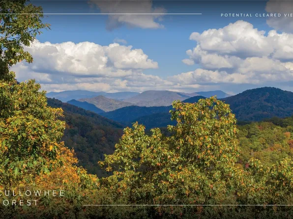 Lot 54 Cullowhee Forest Road, Cullowhee, NC 28723