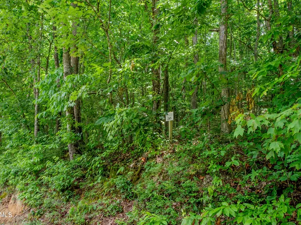 4521 Huffine Rd, Loudon, TN 37774