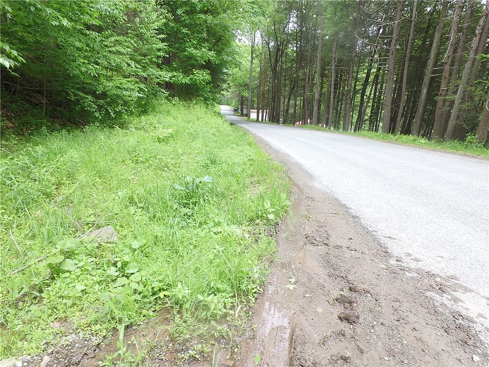 0 Peas Eddy Rd, Hancock, NY 13783 MLS R1492272 Zillow