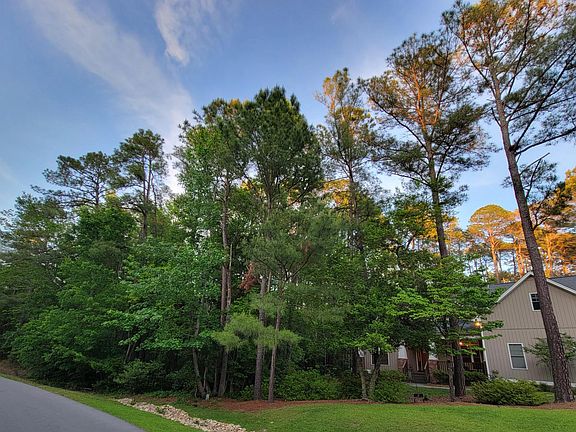 The property includes two lots. One lot to the side of the house is undeveloped forest with a gentle meandering creek.