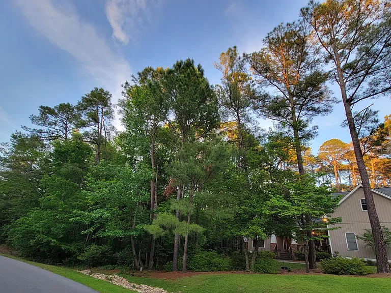 The property includes two lots. One lot to the side of the house is undeveloped forest with a gentle meandering creek.