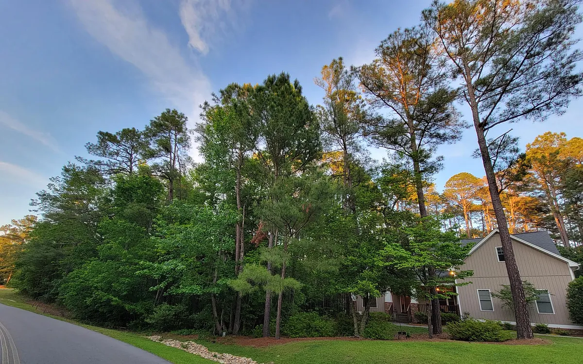 The property includes two lots. One lot to the side of the house is undeveloped forest with a gentle meandering creek. - 10 Goldenrod Dr