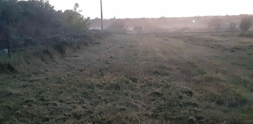 2nd image of 10440 174th Rd