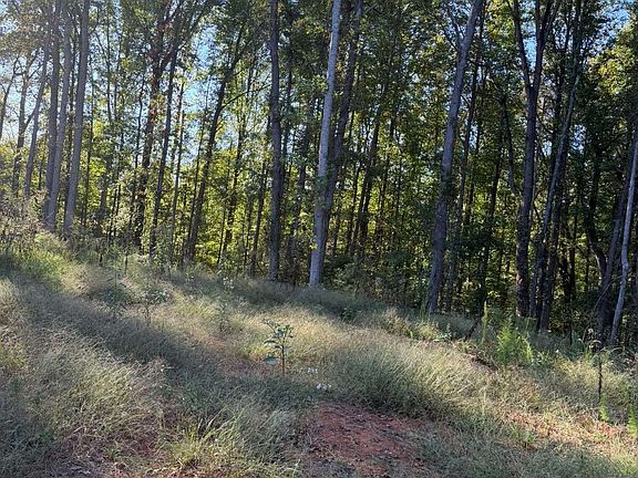 5th image of 92 Ida Pace Rd