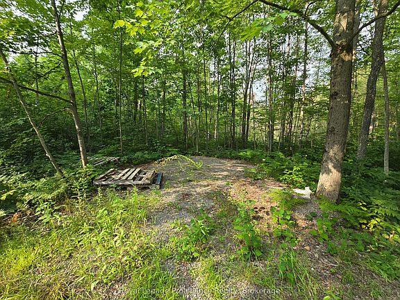 4th image of 1446 Flinton Rd
