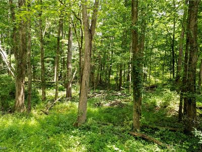 Township Road 1151, Nova, OH, 44859