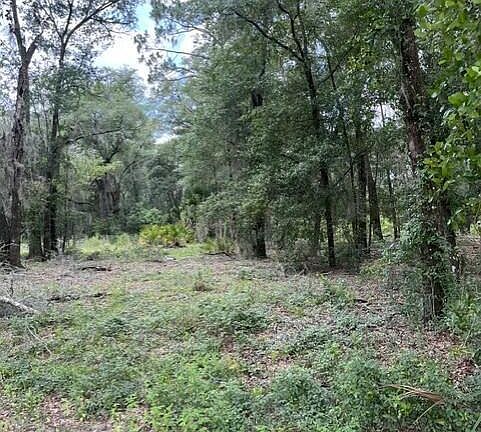 2nd image of 607 COUSINTOWN RD Road