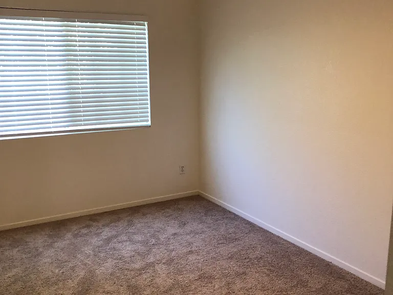 8742 Weeping Birch Ln — Photo 32
