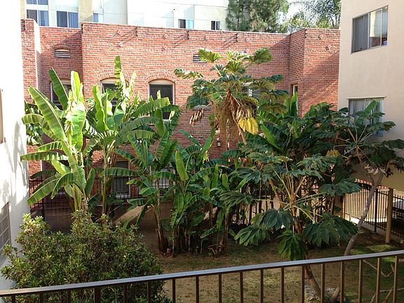 kitchen window overlooking courtyard