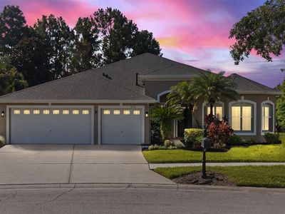 10751 Tavistock Dr, Tampa, FL, 33626