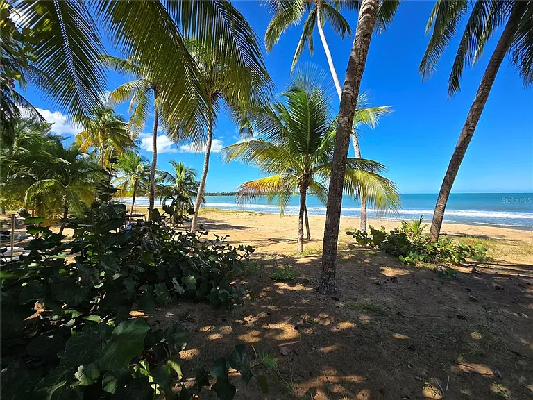 351 Las Picaus Playas Del Yunque 19 #RIO — Photo 13