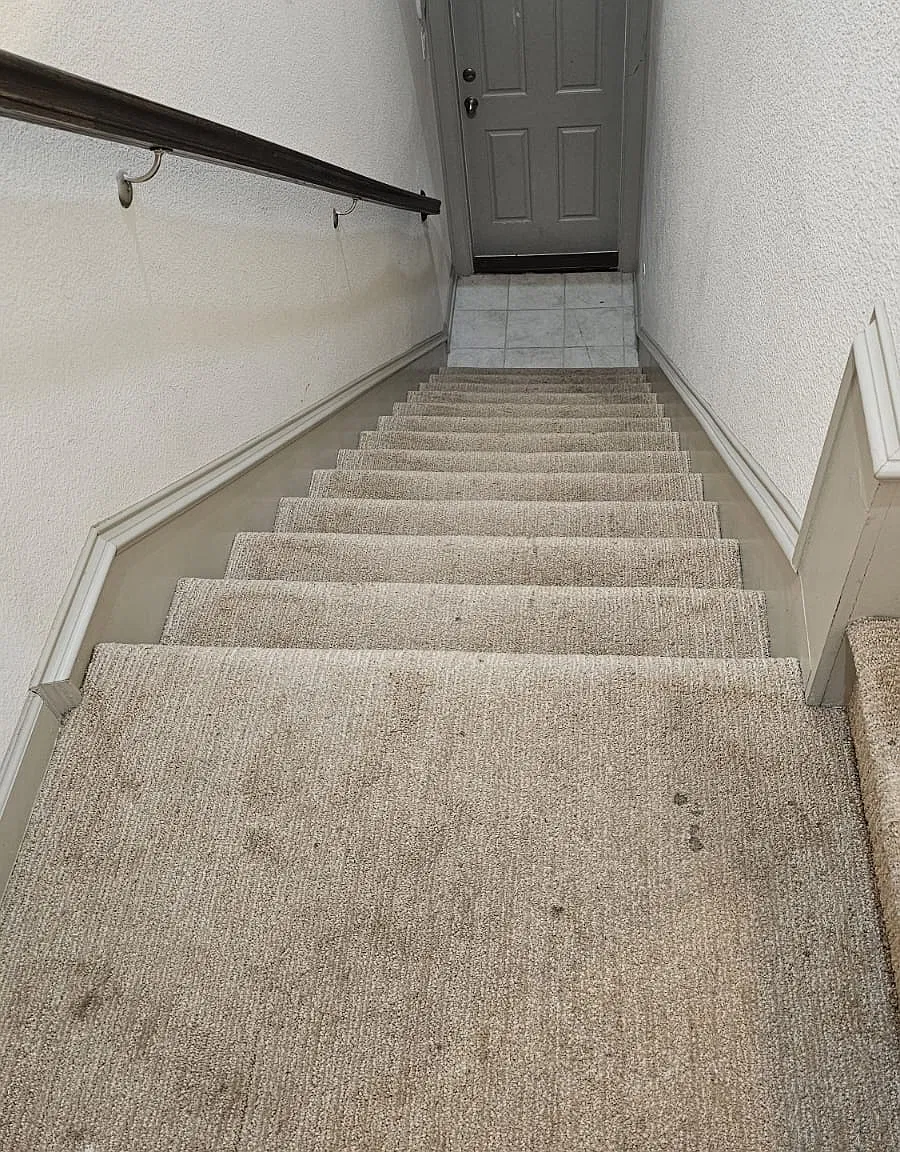 1 bed, 665 sqft, $1,350 — Photo 3