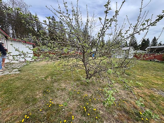 5th image of 1381 W Old Kettle Rd