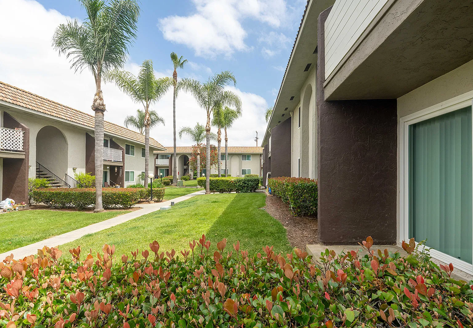 1245 Palomar Pl — Photo 3