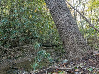 8660 Snake Creek Rd, Hillsville, VA, 24343