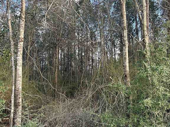 5th image of 0 James Brooks Rd