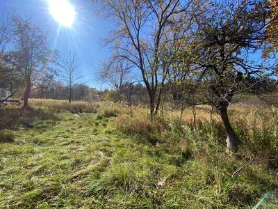 V/l W Edgerton St, Howard City, MI, 49329