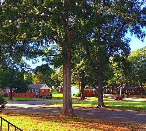 Beautiful Tree-lined community walkable to Light Rail & Free