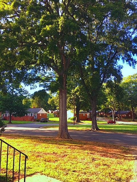 Beautiful Tree-lined community walkable to Light Rail & Free