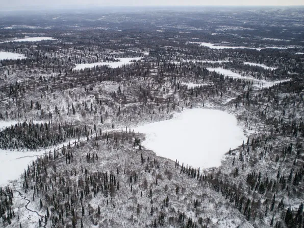 TRACT D Asls #85-015, Skwentna, AK 99667