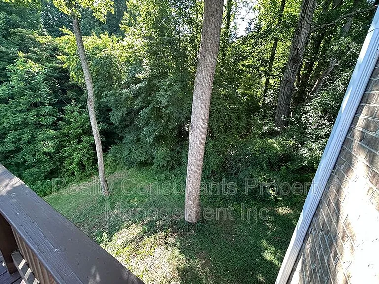 4540 Pebble Lake Dr — Photo 65