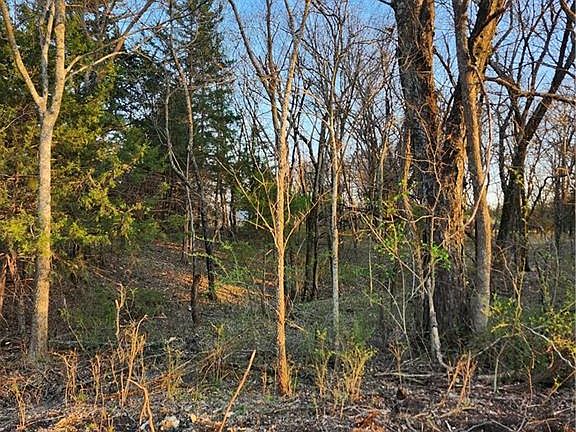 3rd image of 62 S Linn Valley Dr
