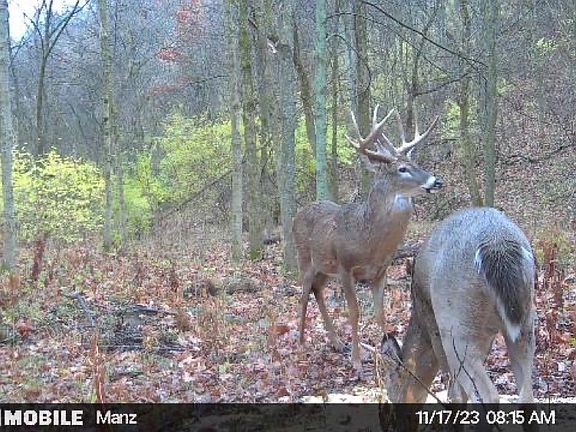 5th image of Brooks Rd Lot Wp001