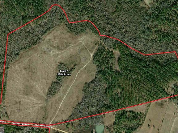 3rd image of 0 Fortner Pond Rd Tract 1