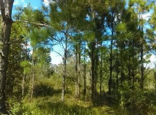 Water Rd, Clermont, FL 34714