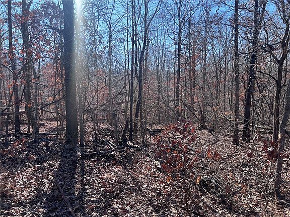 4th image of Lincluden Ln #10