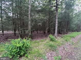 0 Viehdorfer Rd, Karthaus, PA 16845