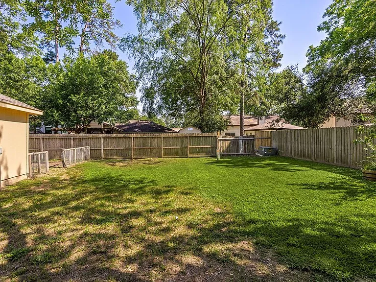 Back yard