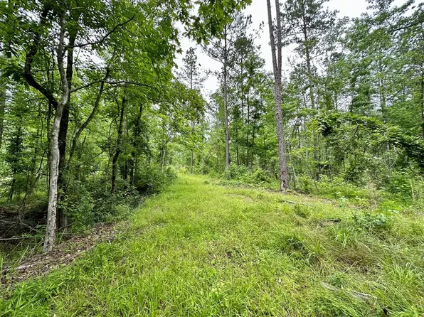 Union Church Rd, Union Church, MS 39668