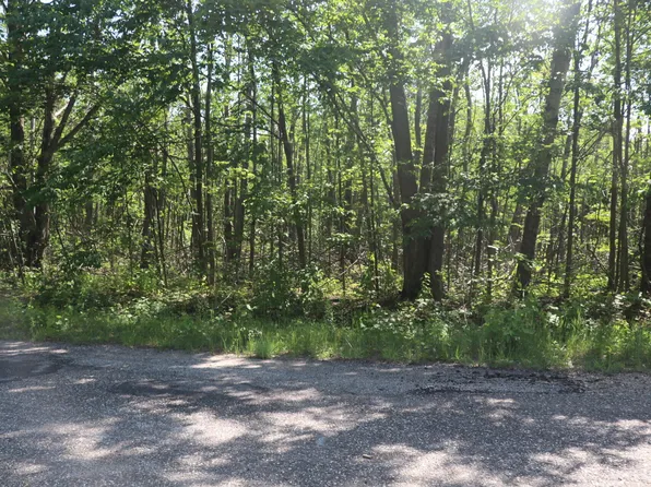 Laming Cir, Elmira, MI 49730